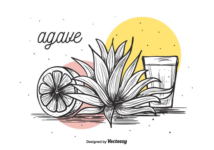 700x490 Agave Vector Background