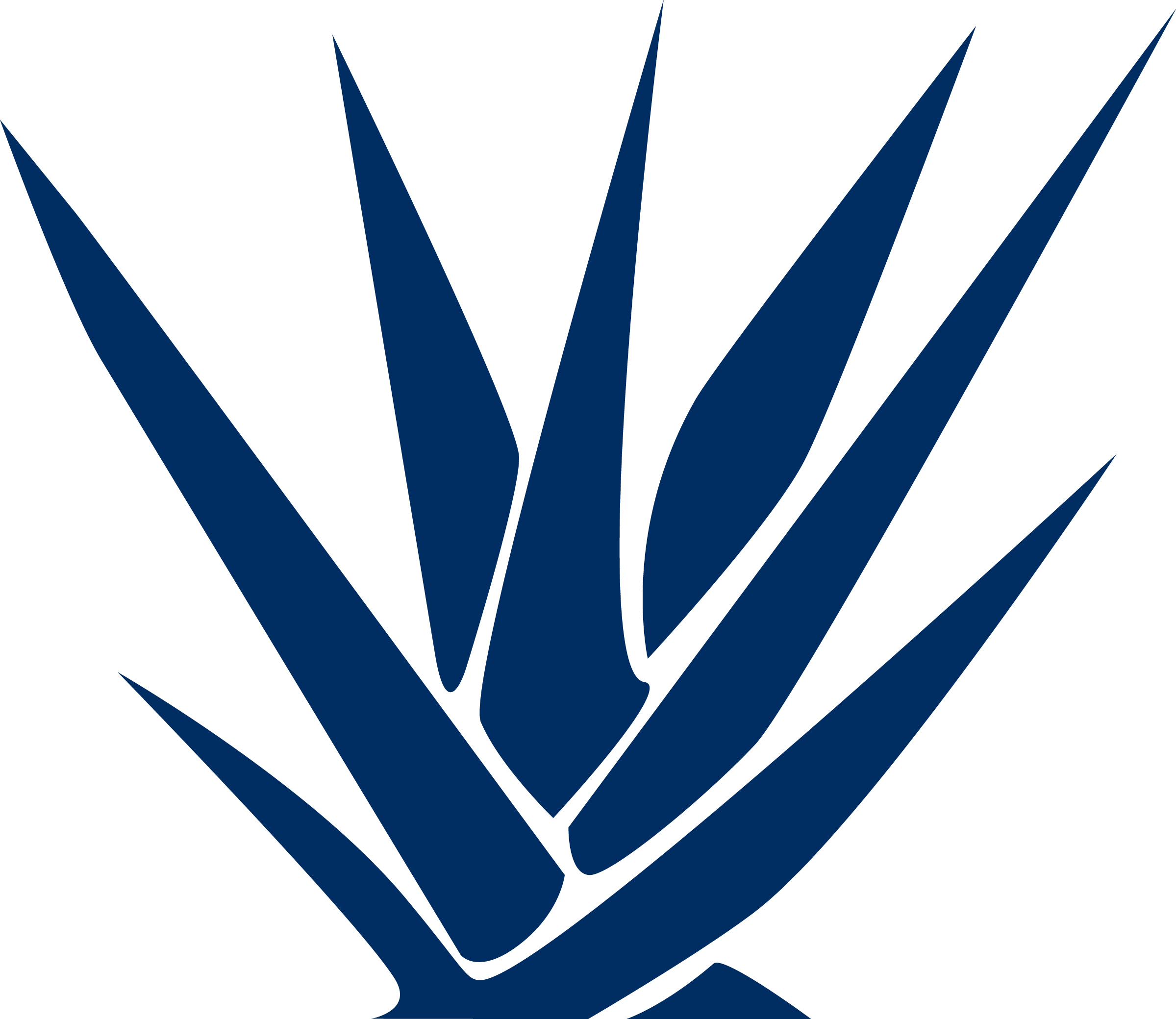 2399x2079 Agave Vector Images