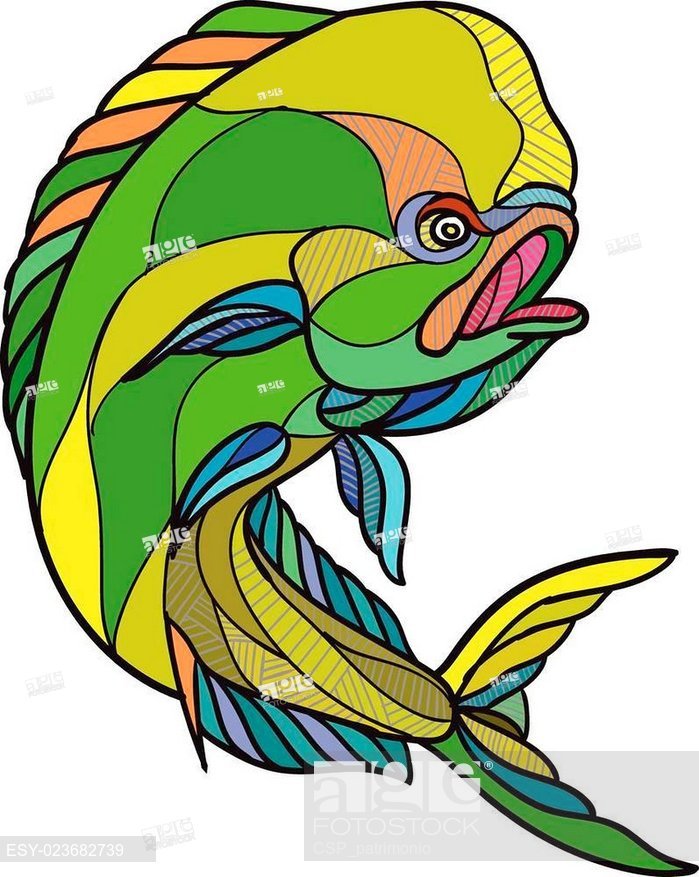 699x877 Mahi Mahi Dorado Dolphin Fish Drawing, Stock Vector, Vector