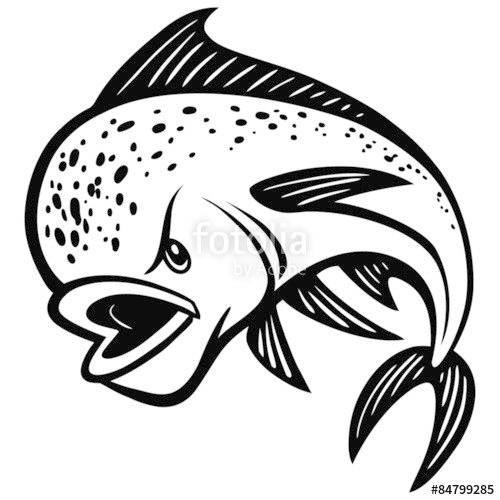 500x500 Mahi Mahi Lineart Stock Image And Royalty Free Vector