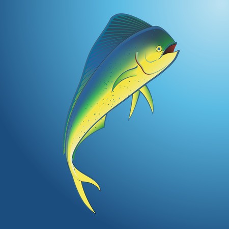 450x450 Mahi Mahi Underwater Royalty Free Vector Graphics