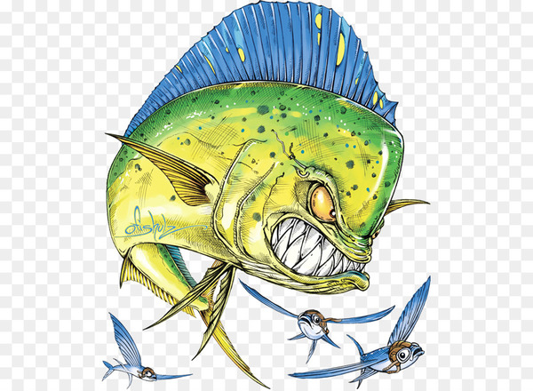 600x440 Mahi Mahi Fishing Loreto Decal