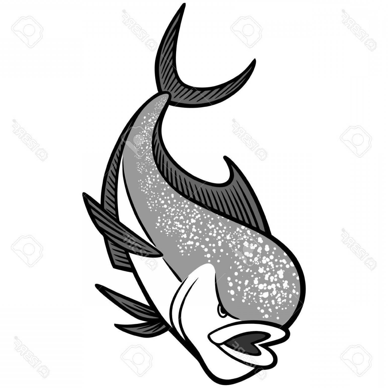 1560x1560 Photostock Vector Mahi Mahi Mascot Illustration Geekchicpro