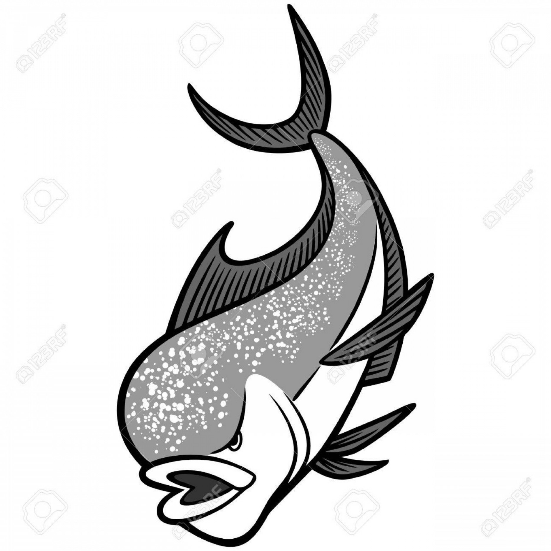 1872x1872 Photostock Vector Mahi Mahi Mascot Illustration Soidergi