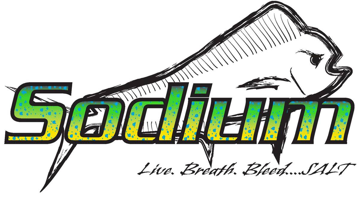 1206x663 Vector Mahi Mahi Fish