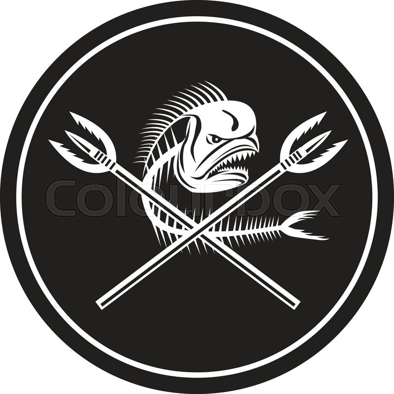 Illustration Of A Skull Of Dorado Stock Vector Colourbox 800x800 Illustration Of A Skull Of Dorado Stock Vector Colourbox