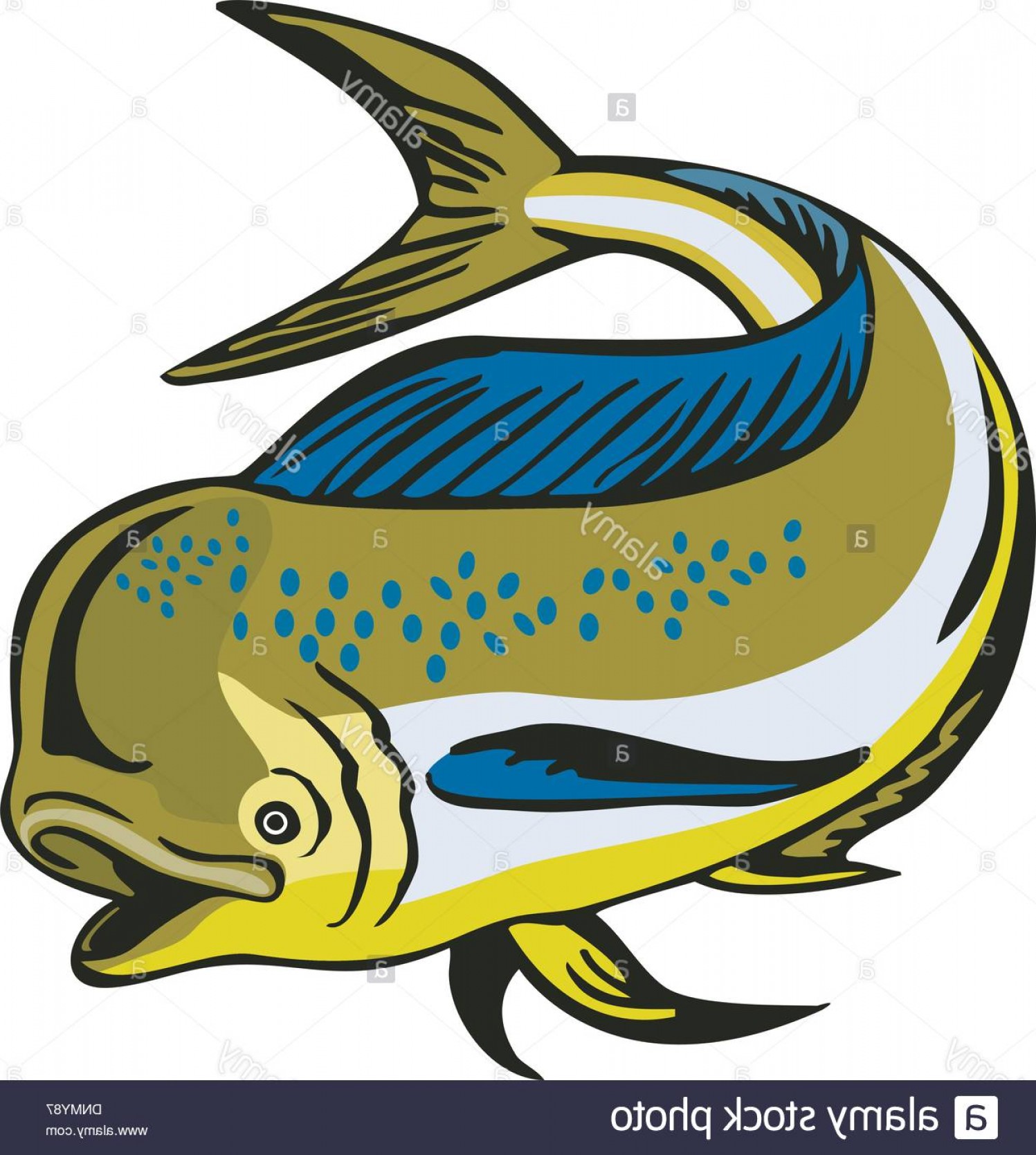 Jumping Mahi Mahi Boat Vector Savoyuptown 1497x1668 Jumping Mahi Mahi Boat Vector Savoyuptown