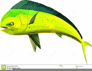 Mahi Mahi Clipart Free Images 300x233 Mahi Mahi Clipart Free Images