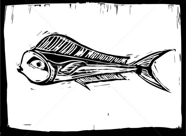 Mahi Mahi Fish Vector Illustration Jeffrey Thompson 600x440 Mahi Mahi Fish Vector Illustration Jeffrey Thompson