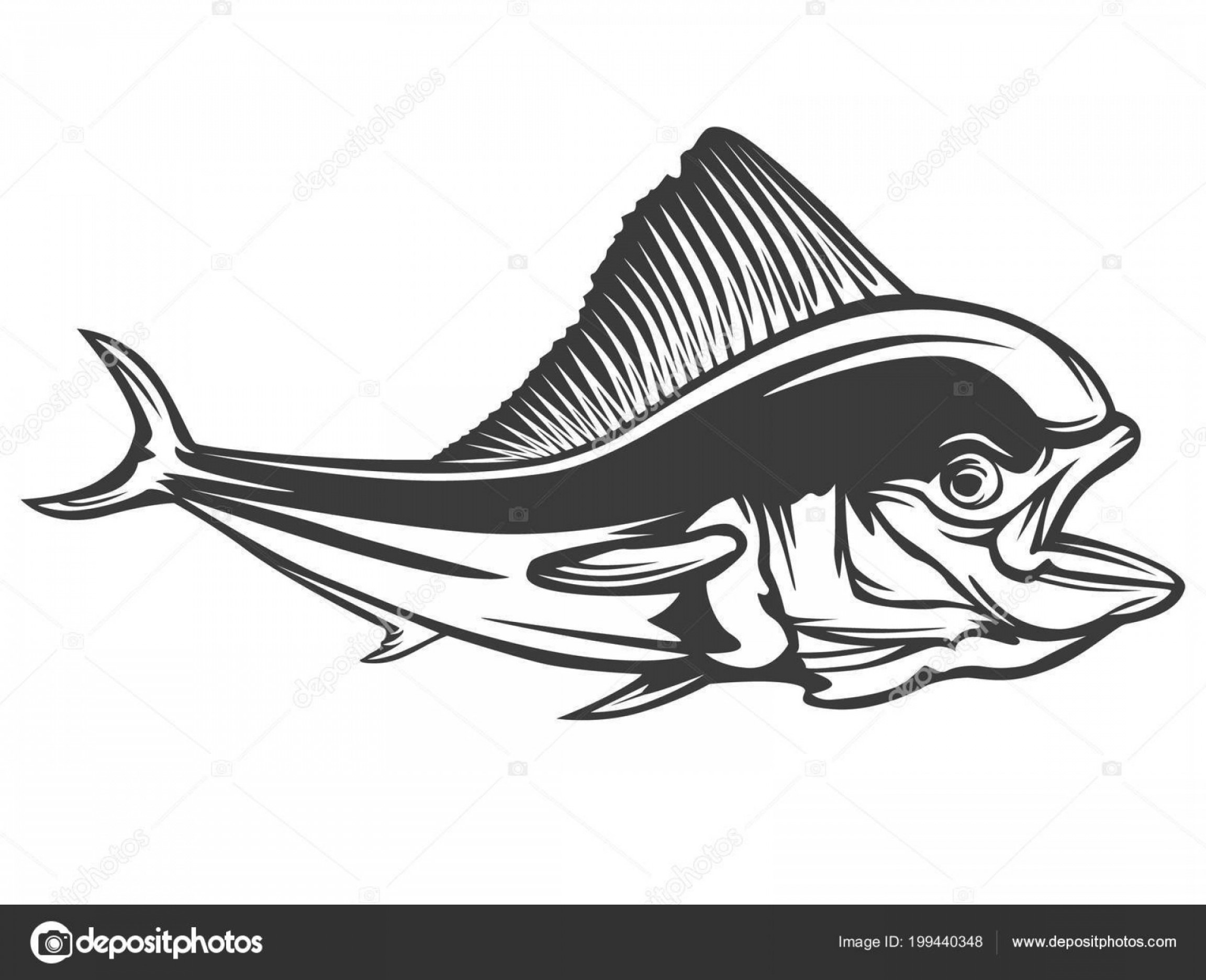Stock Illustration Mahi Mahi Fishing White Logo Soidergi 2304x1872 Stock Illustration Mahi Mahi Fishing White Logo Soidergi