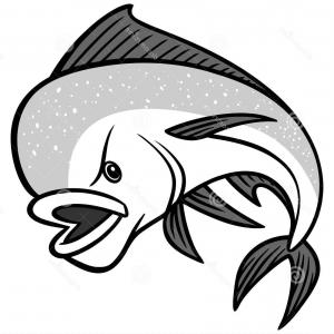 Stock Illustration Mahi Mahi Vector Cartoon Illustration Style 300x300 Stock Illustration Mahi Mahi Vector Cartoon Illustration Style