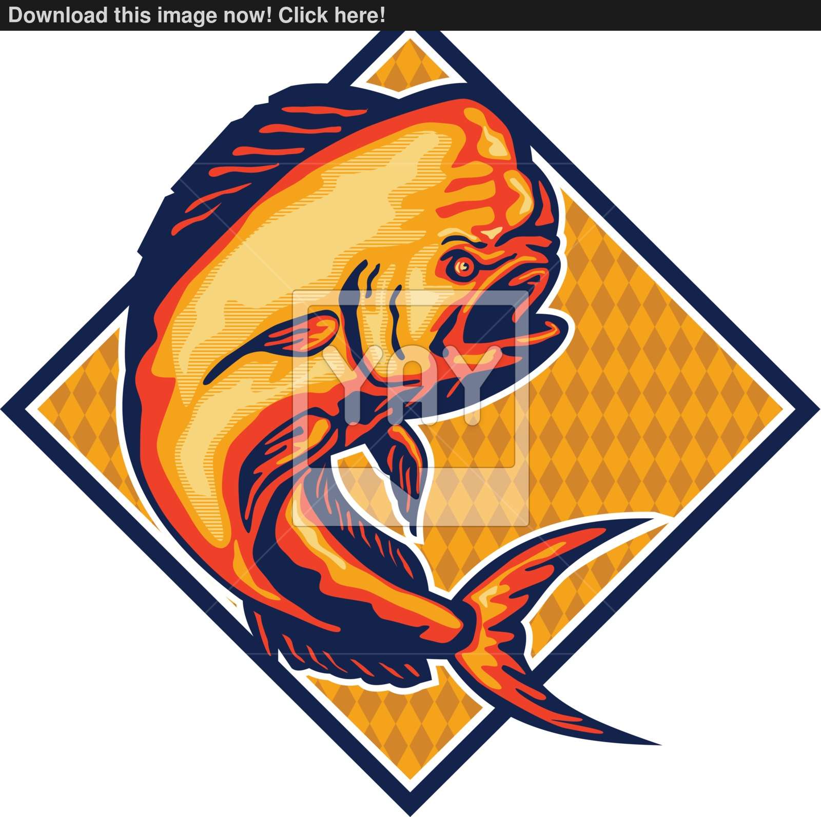 Dorado Dolphin Fish Mahi Mahi Retro Vector 1600x1594 Dorado Dolphin Fish Mahi Mahi Retro Vector