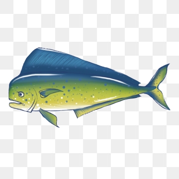 Dorado Png, Vector, And Clipart With Transparent Background 360x360 Dorado Png, Vector, And Clipart With Transparent Background