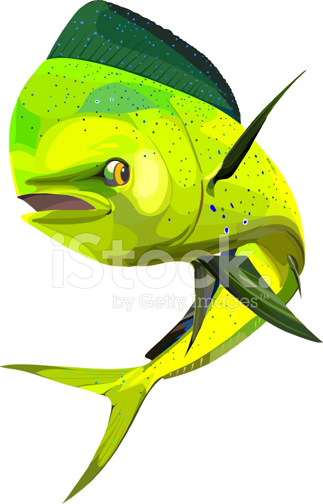 Stock Vector 658x1024 Stock Vector