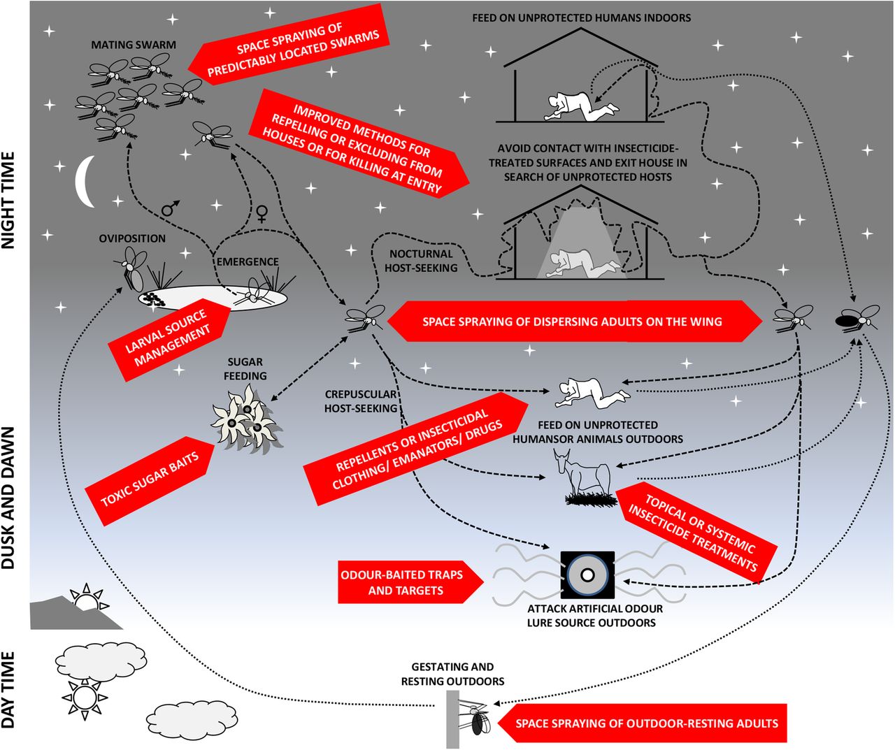 1280x1073 Developing An Expanded Vector Control Toolbox For Malaria