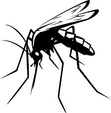 Health Costs And Benefits Of Ddt Use In Malaria Control And Prevention 224x227 Health Costs And Benefits Of Ddt Use In Malaria Control And Prevention