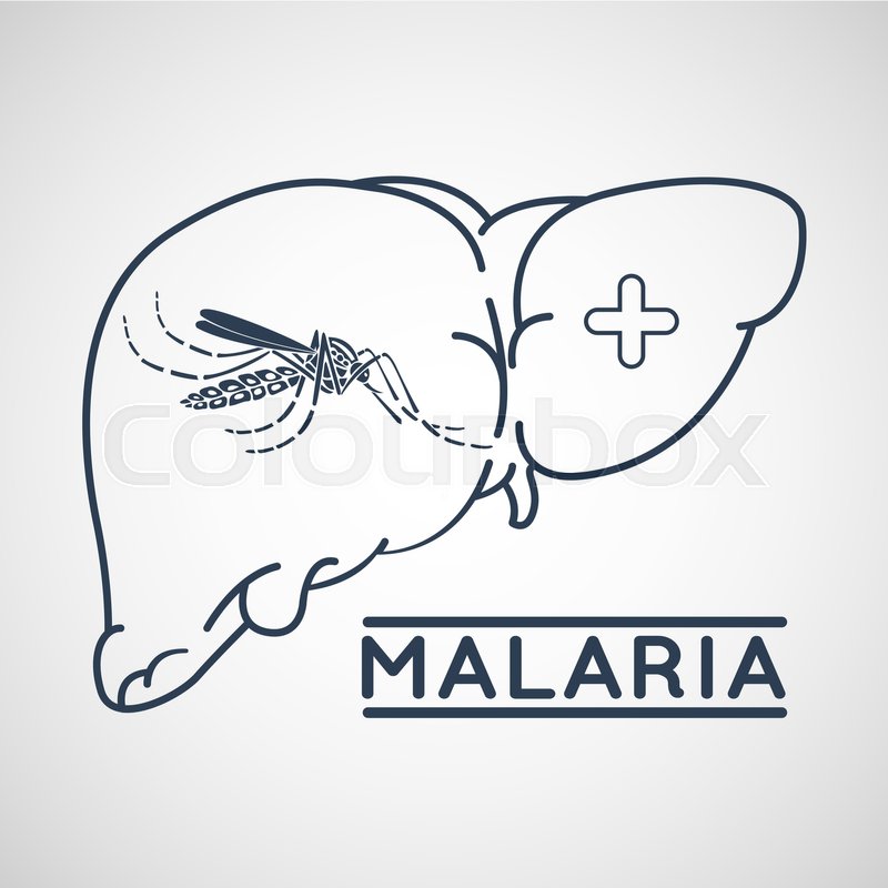 800x800 Malaria Vector Logo Icon Design Stock Vector Colourbox