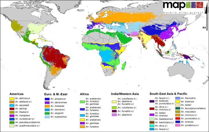 685x432 A Global Map Of Dominant Malaria Vectors Parasites Vectors