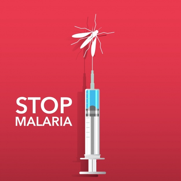 626x626 Malaria Vectors, Photos And Free Download