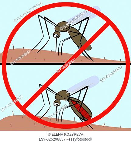 431x470 Malaria Vector Stock Photos And Images Age Fotostock