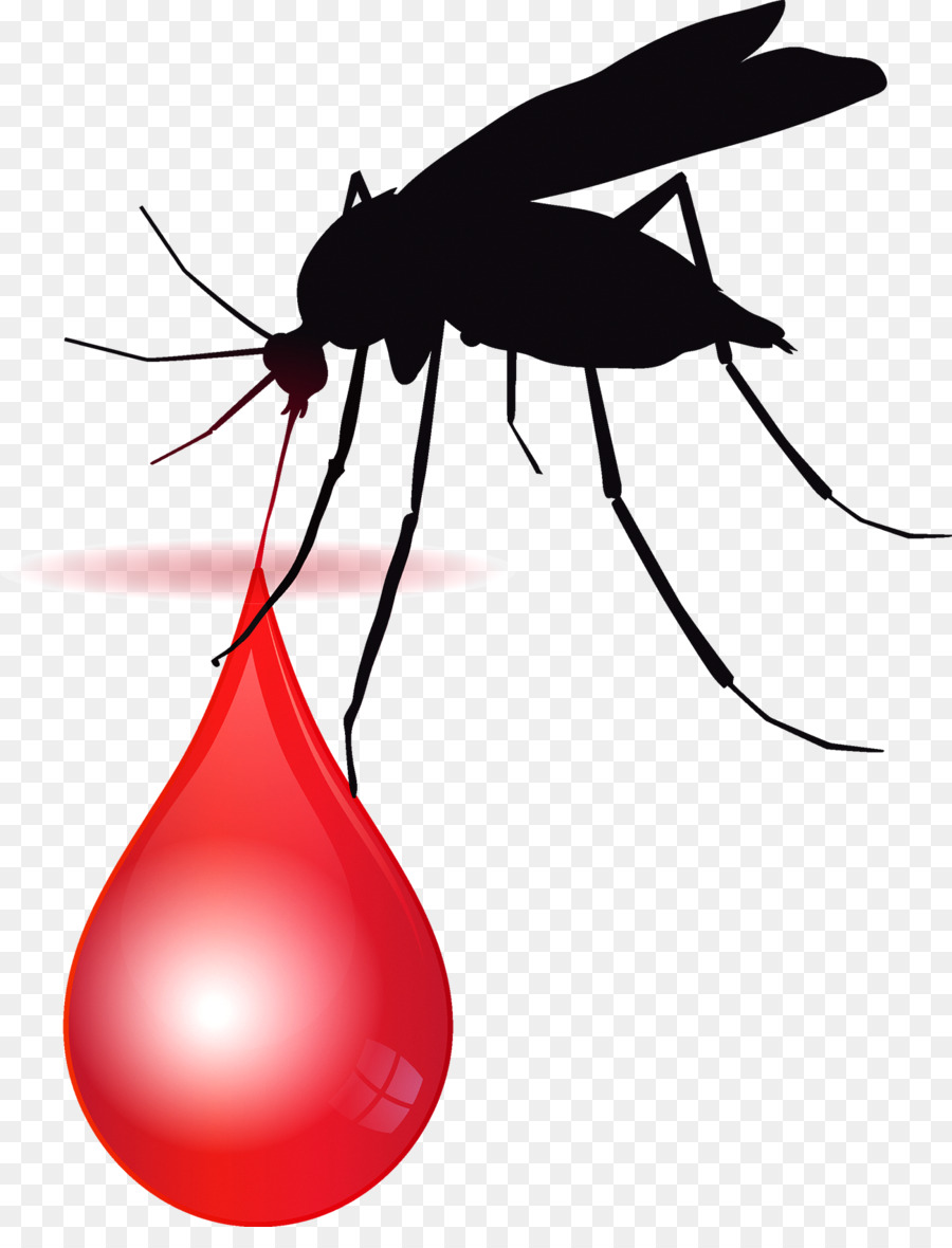 900x1180 Africa Le Paludisme Malaria Vector Medicine