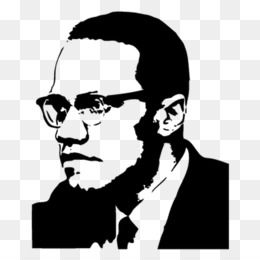 260x260 Download Malcolm X A Biography