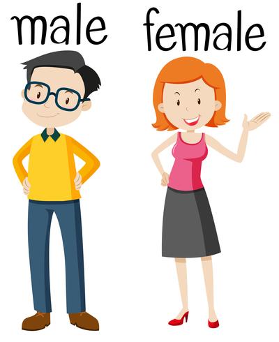 Male And Female Vector at Vectorified.com | Collection of Male And ...