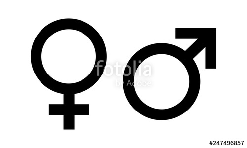 Male And Female Symbol Icon Vector Stock Image And Royalty Free 500x300 Male And Female Symbol Icon Vector Stock Image And Royalty Free