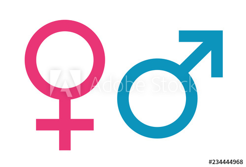 Women And Men Symbol Male Sign Vector Icon 500x341 Women And Men Symbol Male Sign Vector Icon