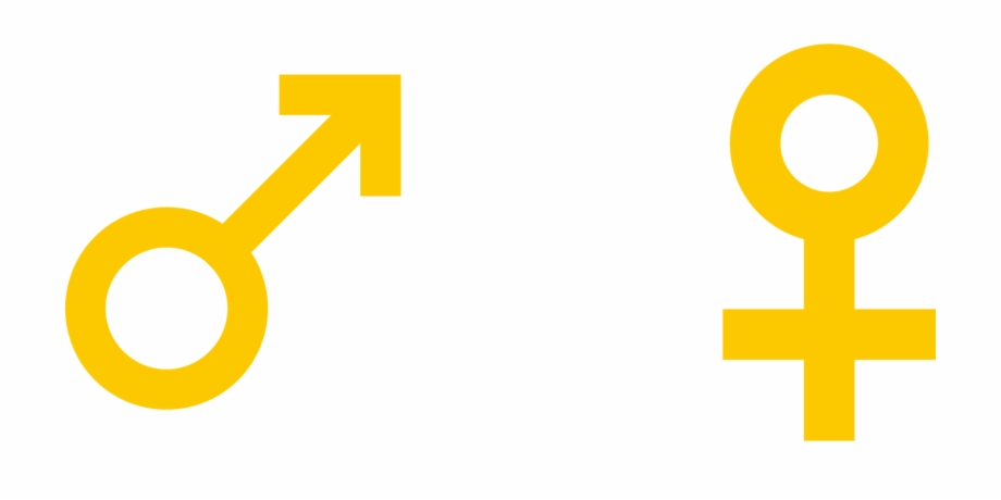 920x460 Man And Woman Sign Vector