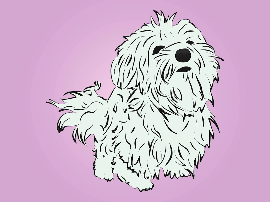 1024x768 Maltese Puppy Vector Art Graphics