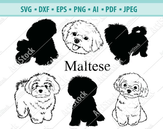 570x454 Maltese Maltese Silhouettes Maltese Dog Breeds Etsy