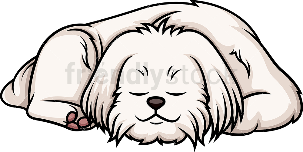 1000x502 Maltese Sleeping Cartoon Clipart Vector