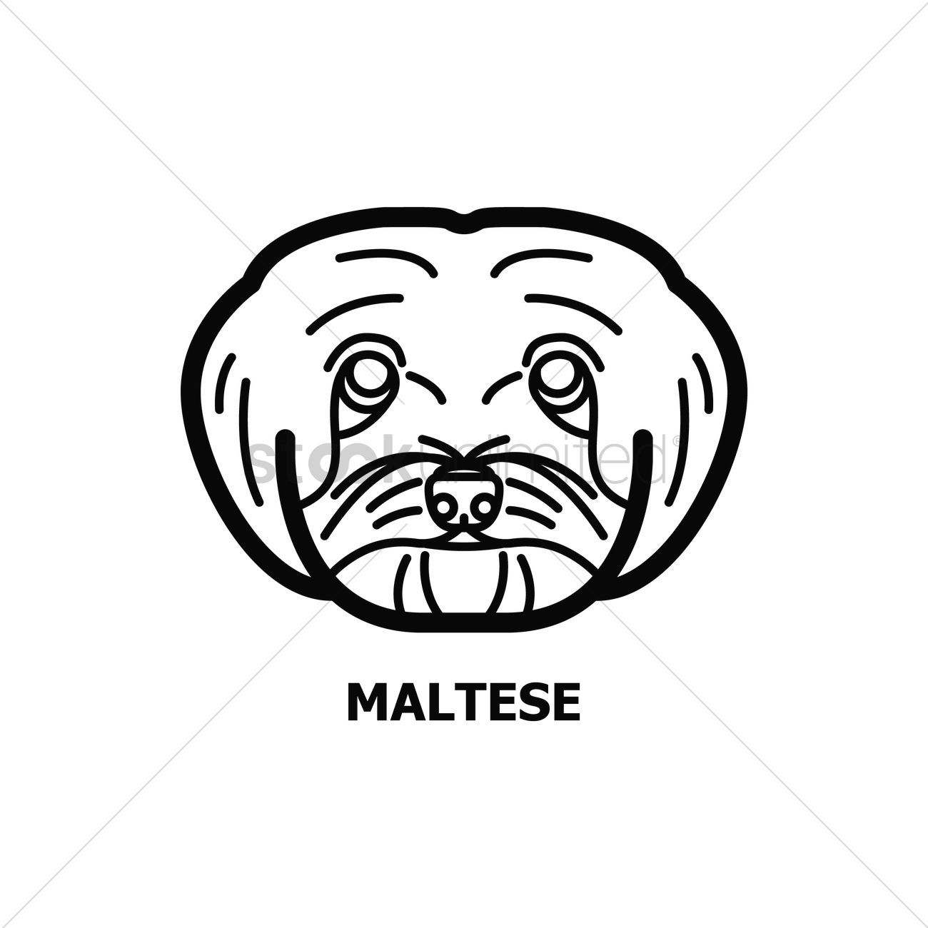 1300x1300 Maltese Dog Vector Image