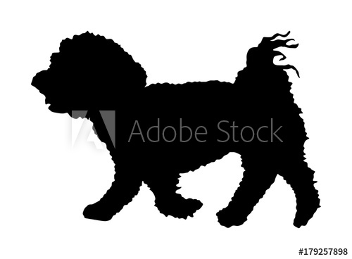 500x368 Maltese Dog Puppy Vector Silhouette Illustration Isolated On White