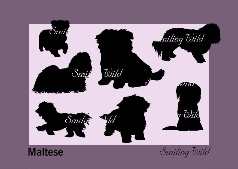794x562 Maltese Silhouette Png Vector Graohic Art Maltese Dog Etsy