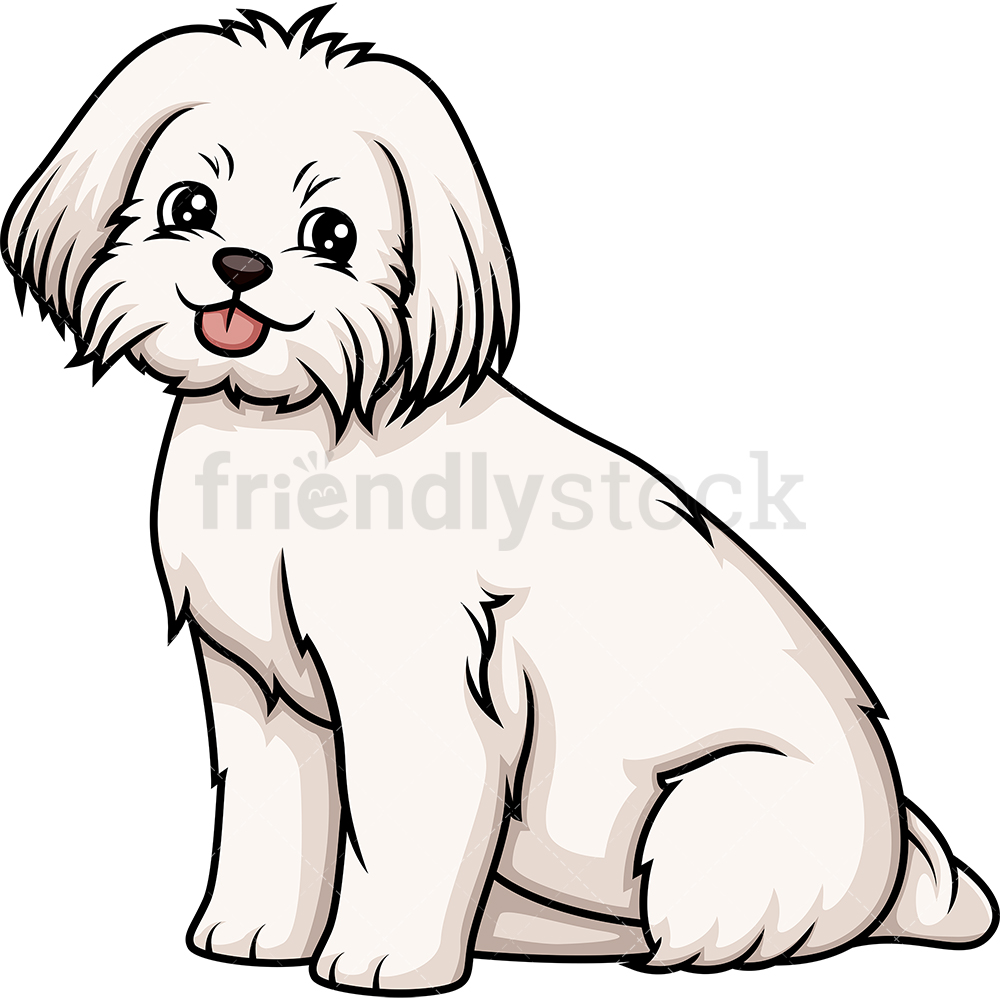 1000x1000 Obedient Maltese Sitting Cartoon Clipart Vector