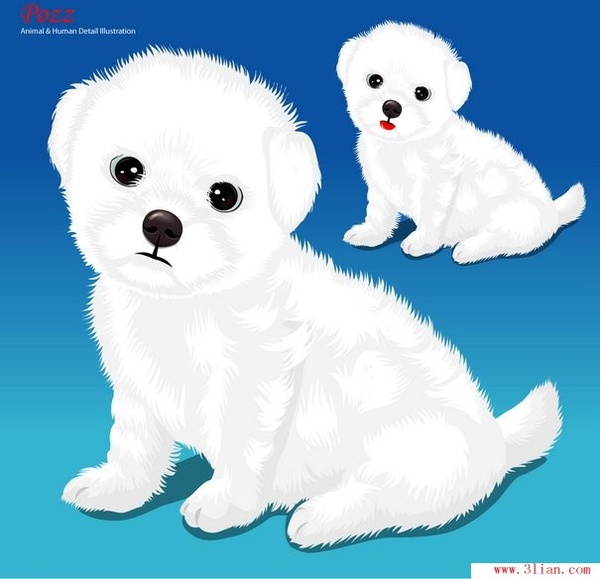 600x579 Pet Dog Vector Free Vector In Adobe Illustrator