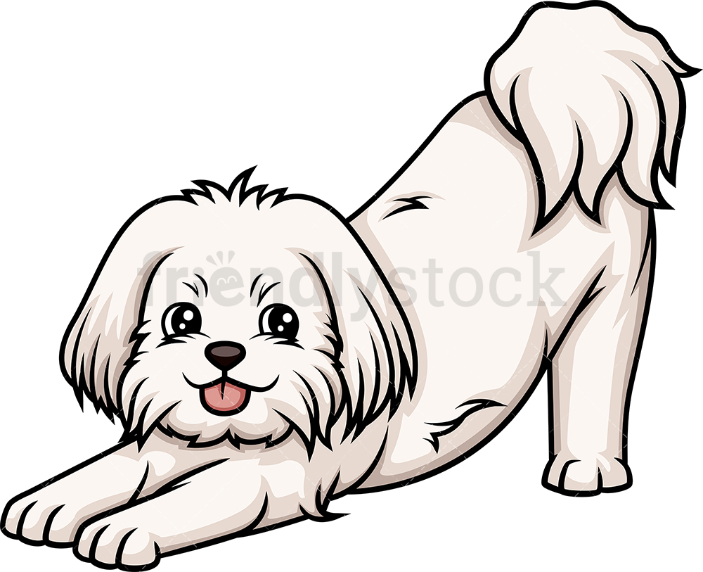 1000x813 Playful Maltese Cartoon Clipart Vector