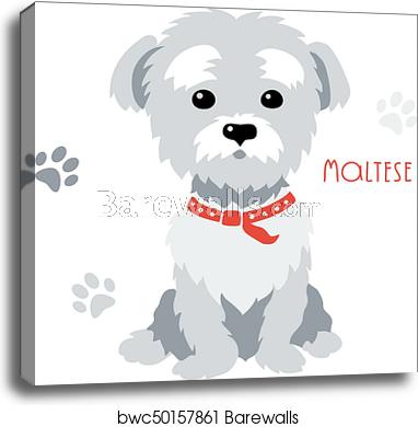 382x390 Vector Sketch Funny Maltese Dog Sitting, Canvas Print Barewalls