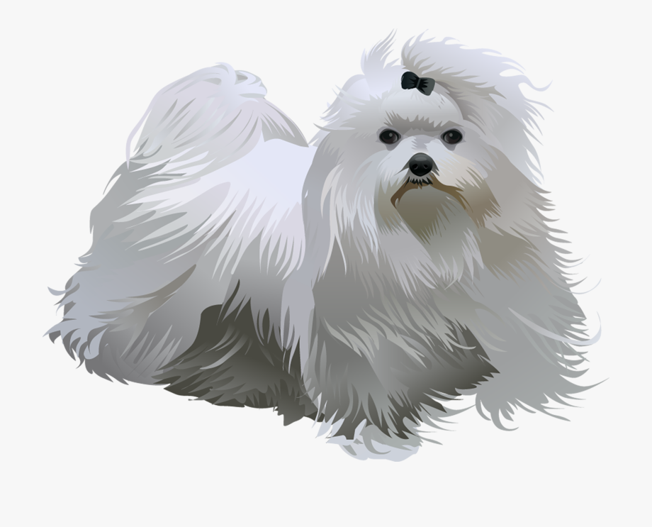 920x743 Breed Lover Merchandise