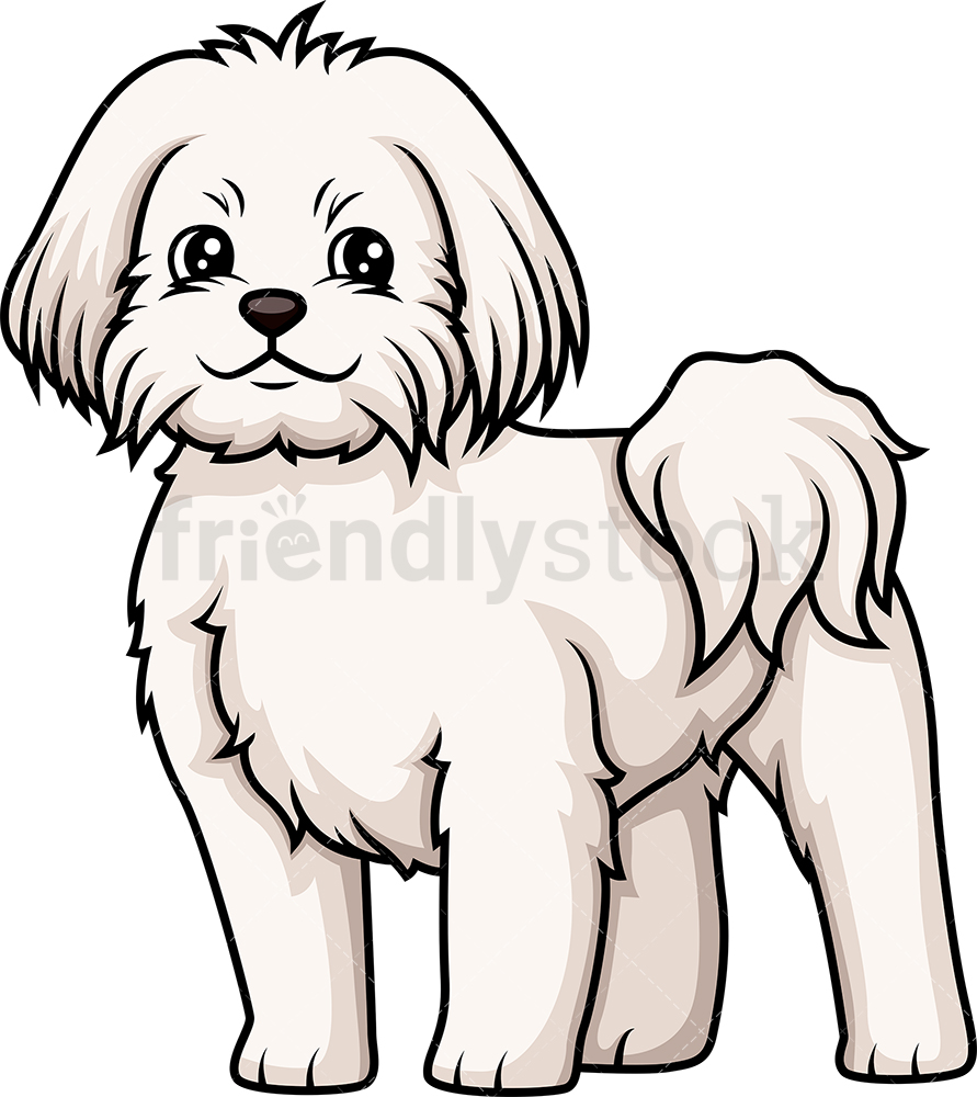 891x1000 Cheerful Maltese Cartoon Clipart Vector