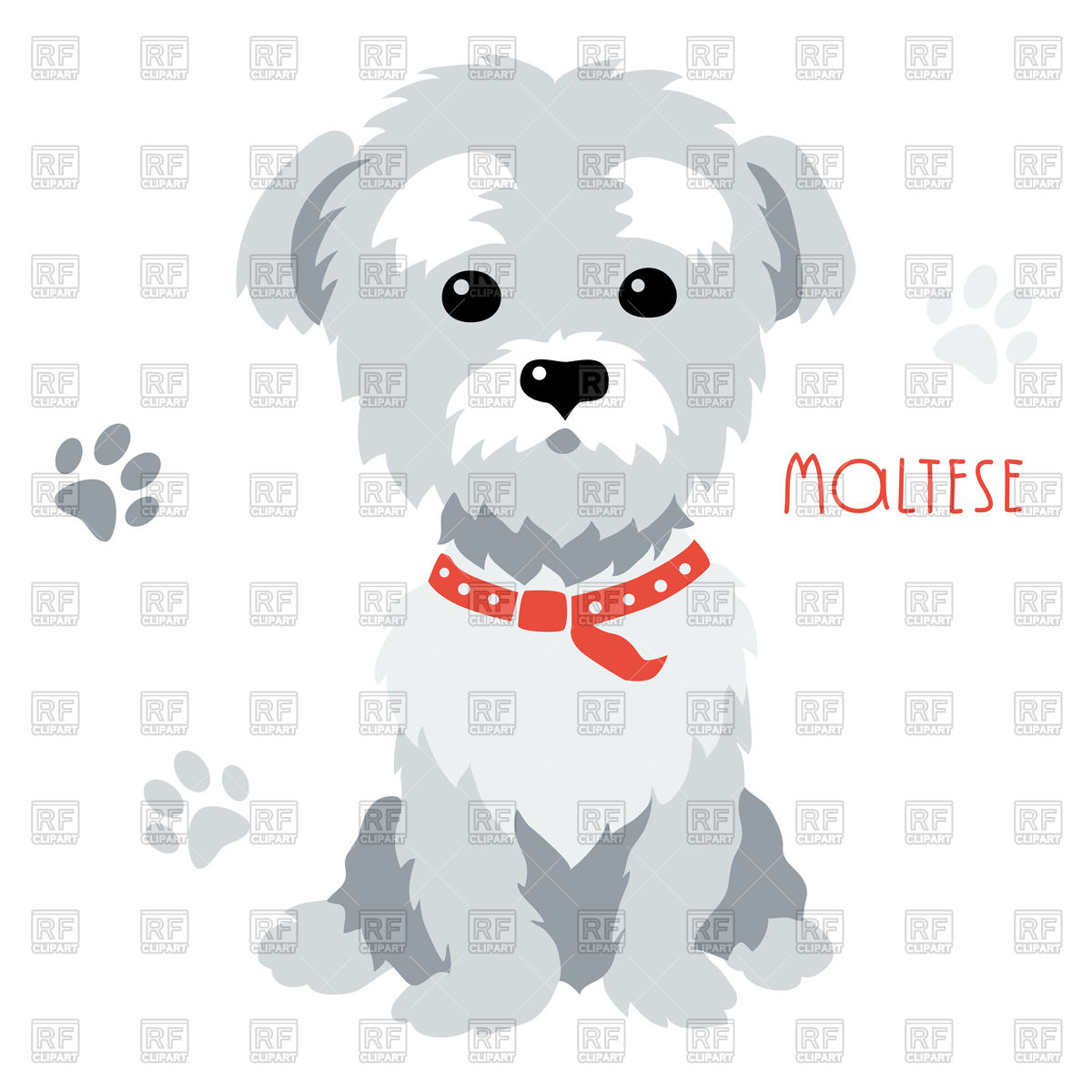 1200x1200 Funny Dog Maltese Breed Sitting Vector Image Of Plants And Animals