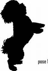 160x238 Image Result For Silhouette Images Of Dogs Maltese Free
