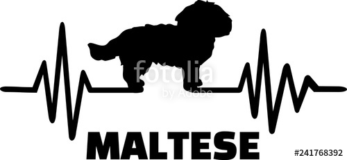 500x231 Maltese Heartbeat With Silhouette Stock Image And Royalty Free