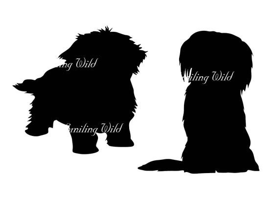 570x403 Maltese Silhouette Png Vector Graohic Art Maltese Dog Etsy