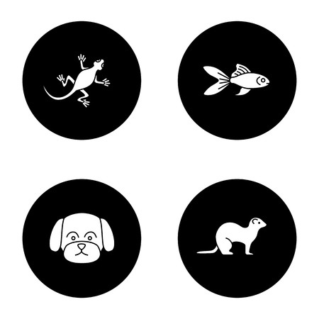 450x450 Pets Glyph Icons Set Lizard, Goldfish, Maltese Dog, Ferret
