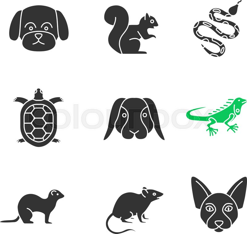 800x757 Pets Glyph Icons Set Maltese Dog, Stock Vector Colourbox