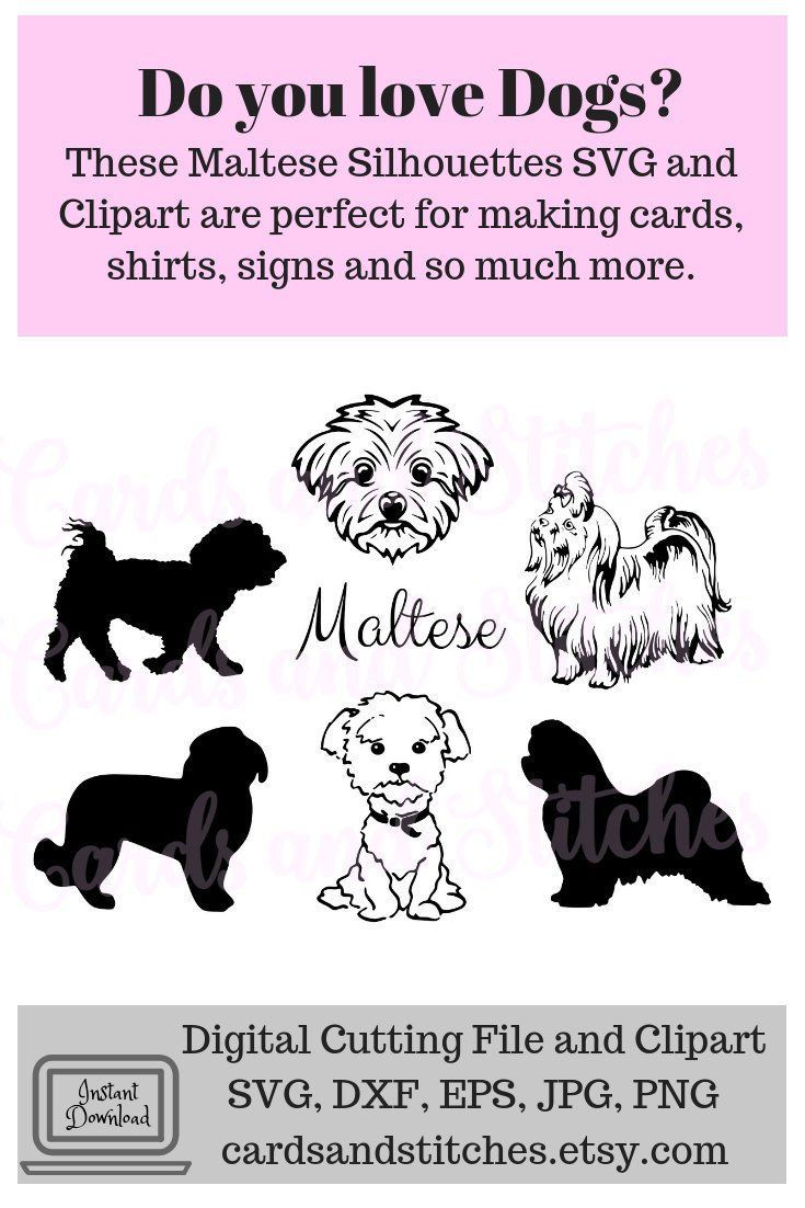 735x1102 These Maltese Silhouettes Digital Cutting And Clipart Are