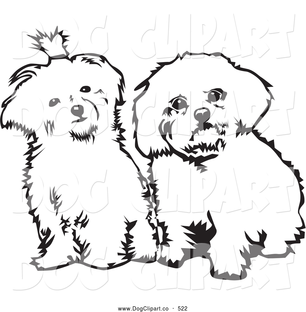 1024x1044 Vector Clip Art Of A Pair Of Cute Maltese Dogs Sitting Side